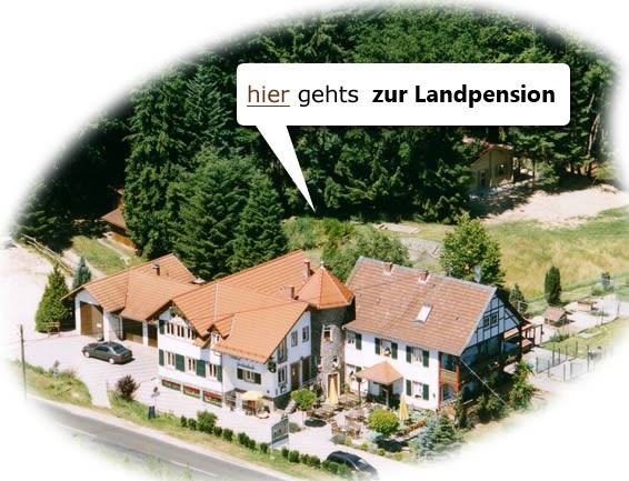 Landpension Haus Gräfenbach - Eingang