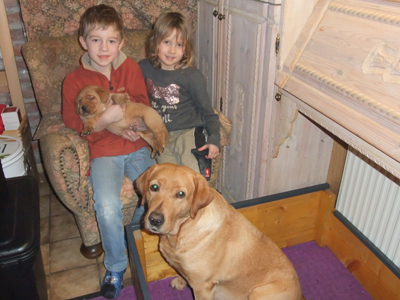 Kinder mit Hunden